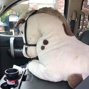 Meet your Posher, Alex